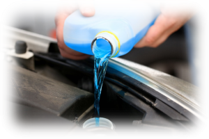 Bio Auto Scheibenreiniger